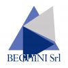 logoBeghini-avatar.jpg